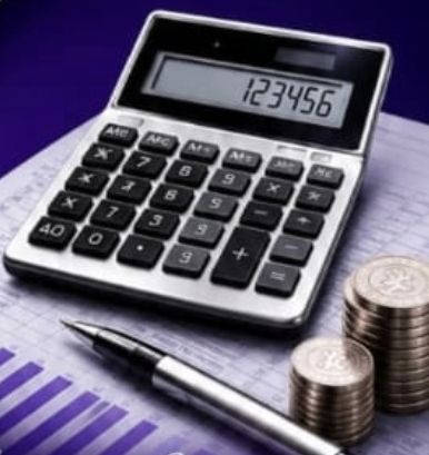 Mills Accountants Financial Management